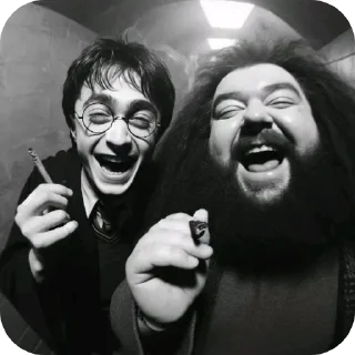 ✋-Butterfly @english_world_chatting, Telegram Sticker