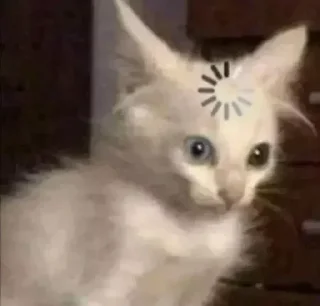 🎸-Butterfly @english_world_chatting, Telegram Sticker