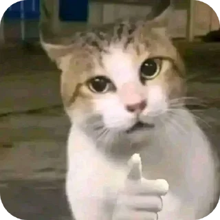 🐱-Butterfly @english_world_chatting, Telegram Sticker