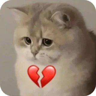 🐱-Butterfly @english_world_chatting, Telegram Sticker