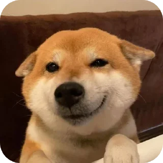 🐶-Butterfly @english_world_chatting, Telegram Sticker