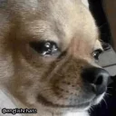 😢-English Chatz, Telegram Sticker