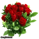 🌹-English Chatz, Telegram Sticker