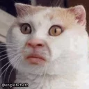 👀-English Chatz, Telegram Sticker