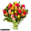 🌹-English Chatz, Telegram Sticker
