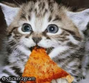 🍕-English Chatz, Telegram Sticker