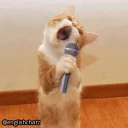 🎤-English Chatz, Telegram Sticker