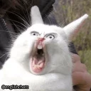 😱-English Chatz, Telegram Sticker