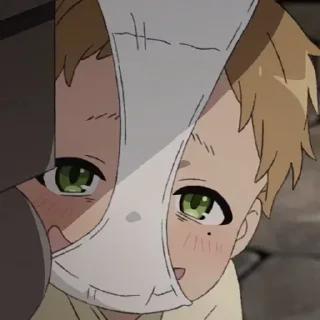 Mikoto's pack