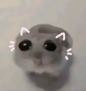 🤏-: @aaraa - @ucucc, Telegram Sticker