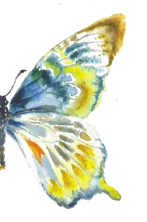 💐-@Breathe_Peace, Telegram Sticker