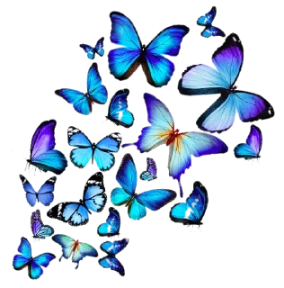 💐-@Breathe_Peace, Telegram Sticker