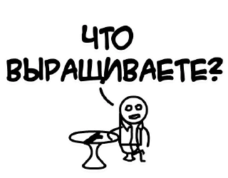 🌽-CATAE, Telegram Sticker