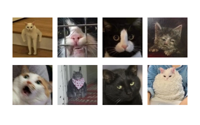 Official @catchain