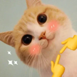 ☺️-Official @catchain, Telegram Sticker