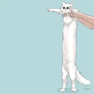 🐈-[Cat kaisen 2]  @Toji_sama, Telegram Sticker