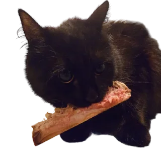 🥩-MilkaTheCat, Telegram Sticker