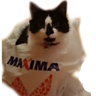 😐-MilkaTheCat, Telegram Sticker