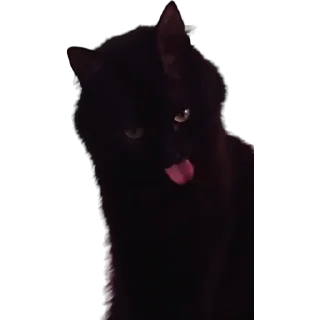 😋-MilkaTheCat, Telegram Sticker