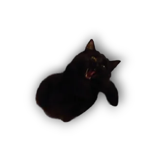 😡-MilkaTheCat, Telegram Sticker