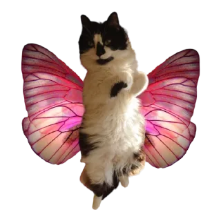 🦋-MilkaTheCat, Telegram Sticker