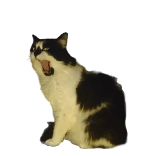 😵-MilkaTheCat, Telegram Sticker