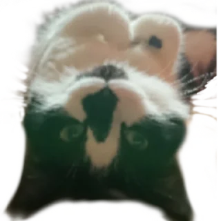🙃-MilkaTheCat, Telegram Sticker