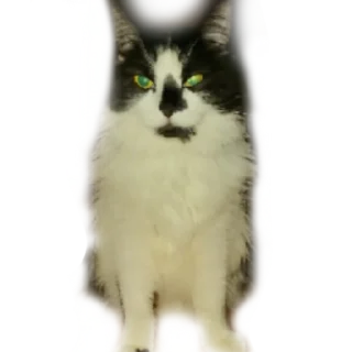 😑-MilkaTheCat, Telegram Sticker