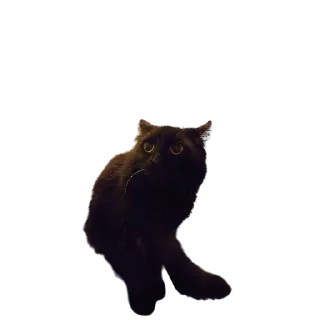 😨-MilkaTheCat, Telegram Sticker