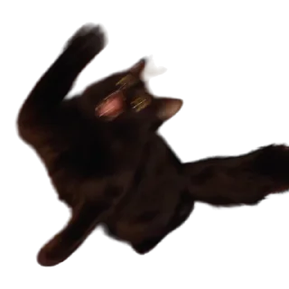 😾-MilkaTheCat, Telegram Sticker