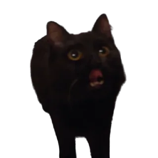 😋-MilkaTheCat, Telegram Sticker