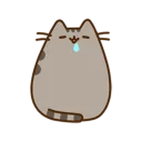 😳-Pusheen, Telegram Sticker