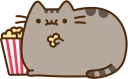 🎥-Pusheen, Telegram Sticker