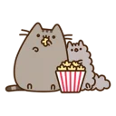 🎥-Pusheen, Telegram Sticker