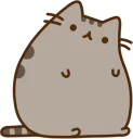 😕-Pusheen, Telegram Sticker