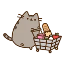 💳-Pusheen, Telegram Sticker