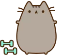 💪-Pusheen, Telegram Sticker