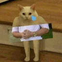 ☹️-kediler, Telegram Sticker