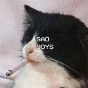☹️-kediler, Telegram Sticker