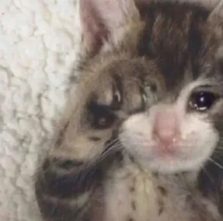 🥺-@YJJJB Vol.1, Telegram Sticker