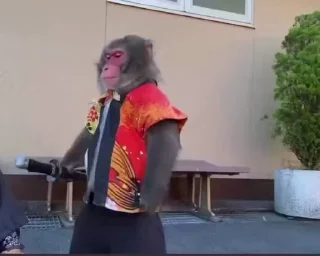 😂-@VloneAsf Vol. 1 (Video), Telegram Sticker