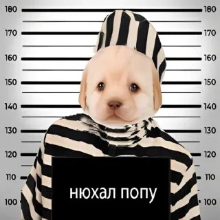 💀-doggies by @normtips, Telegram Sticker
