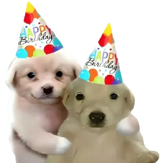🥳-doggies by @normtips, Telegram Sticker