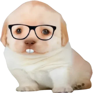 🤓-doggies by @normtips, Telegram Sticker