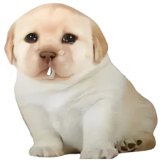 🥲-doggies by @normtips, Telegram Sticker