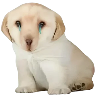 😓-doggies by @normtips, Telegram Sticker
