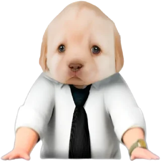 😎-doggies by @normtips, Telegram Sticker