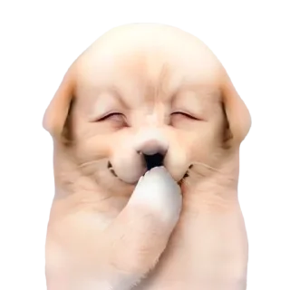 ☺️-doggies by @normtips, Telegram Sticker
