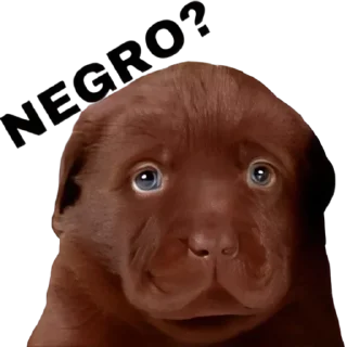💩-doggies by @normtips, Telegram Sticker