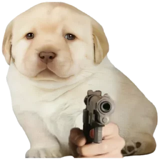 ☠️-doggies by @normtips, Telegram Sticker